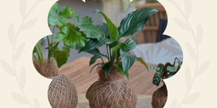 Kokedama Gardening Class