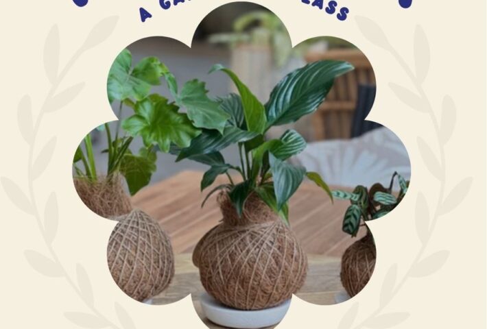 Kokedama Gardening Class